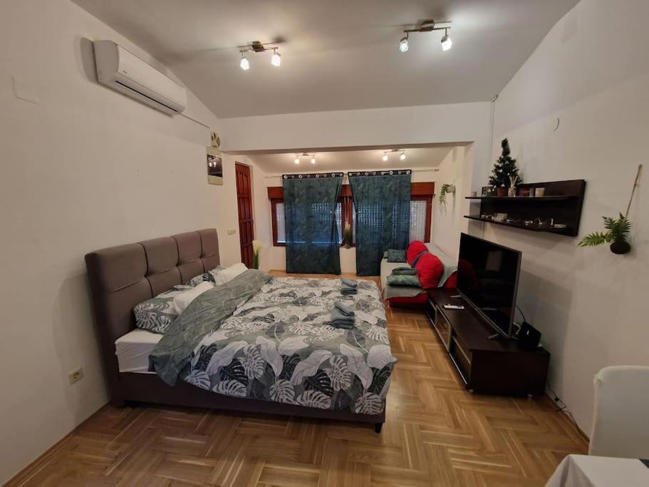 Warm House Full Of Green Ambient,Joy And Comfort Zagreb Exteriör bild