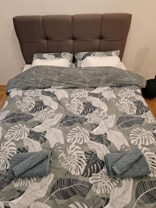 Warm House Full Of Green Ambient,Joy And Comfort Zagreb Exteriör bild